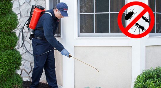 Balışeyh Fare İlaçlama böcek ilaçlama ve haşere kontrolü — ilaclama-tr.com